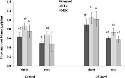 Soil Amendment With Different Maize Biochars Improves Chickpea Growth Under Different Moisture Levels by Improving Symbiotic Performance With Mesorhizobium ciceri and Soil Biochemical Properties to Varying Degrees